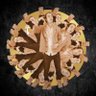 D'Champ's profile picture