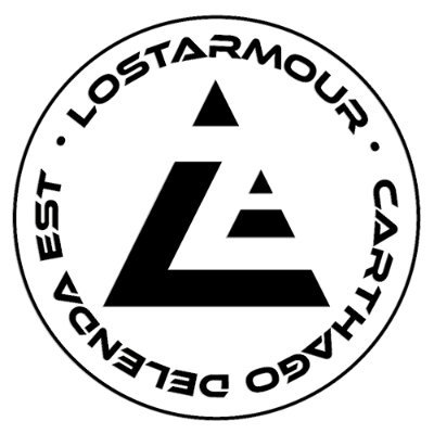 lostarmour's profile picture