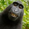 Filho do Congo 🇨🇬's profile picture