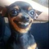 Jeremy's profile picture