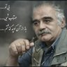 Behroz BateniManesh 的头像