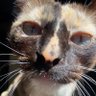 iza profil fotoğrafı