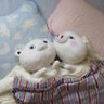Profilbild von かぁくん