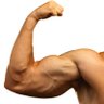 Profilbild von Arms & Hammer