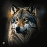 Фото профиля The Wolf