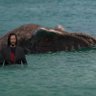 Mesozoic Travelogue's profile picture