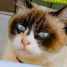 むぎわら|KENICHI HAGINOYA profil fotoğrafı