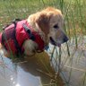 Alfie & Gracie & Remy's mom🐾 🇨🇦's profile picture