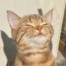 ã¢ããšã's profile picture
