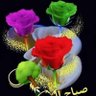 ابو البراء الشرعبي 的头像