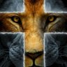 Profilbild von Lion Heart