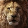 The LionKing profil fotoğrafı
