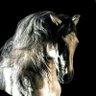 Фото профиля أمان