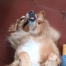 Profilbild von JAB