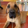 Maria Leonor Gutierr profil fotoğrafı