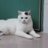 Super404 profil fotoğrafı