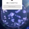 佐藤洸介 profil fotoğrafı