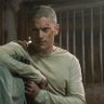 Фото профиля Mr Scofield 😎