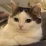 Profilbild von Jxvier