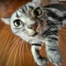 Profilbild von Misskimํด๋ฆฌ