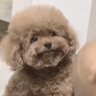 Atw's profile picture