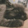 Keuna_3's profile picture