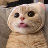 www 的头像