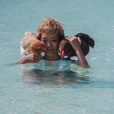 ぴあやの🎹島暮らしピアノ弾き's profile picture