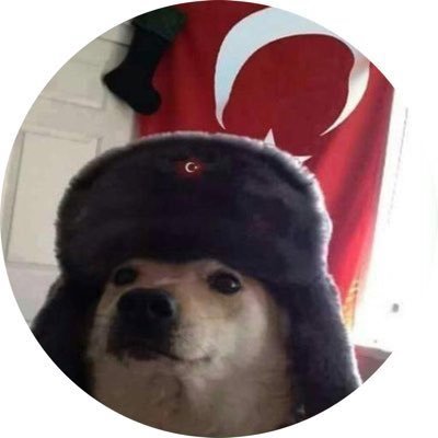 danielpancu_'s profile picture