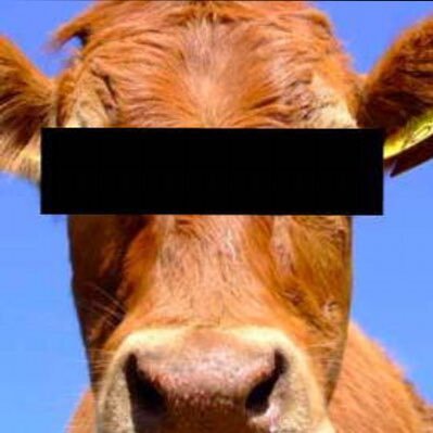 anahnemoo's profile picture