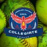 Carolina Patriot Collegiate League 🥎 profil fotoğrafı