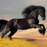 Фото профиля mohamslim