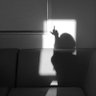 langit's profile picture