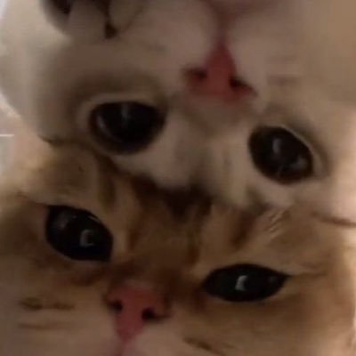 Rob's profile picture