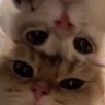 Rob's profile picture