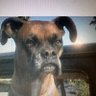 Chris Olsen's profile picture