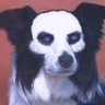 Profilbild von No Name 55