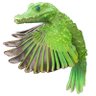 Colin Green's profile picture