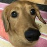ばたやん's profile picture