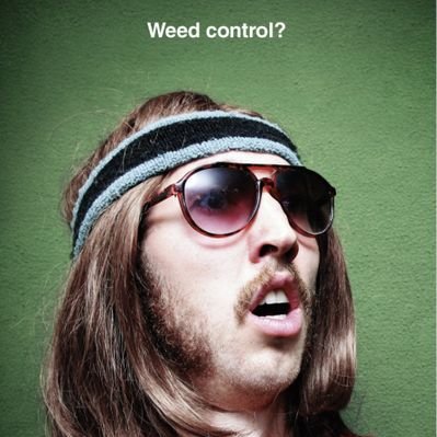 The Frosted Labs's profile picture
