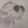 THEFISH2.0 的头像