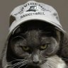 Lisa Murphy's profile picture