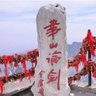 Peng Wang 的头像