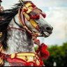 🇲🇦Ali 🇲🇦ⵄⵍⵉ's profile picture