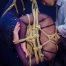 abelkinbaku profil fotoğrafı