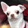 Hunterxikers's profile picture