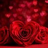 RAVI KUMAR's profile picture