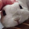 Miake 的头像