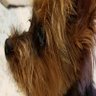 けいすけ profil fotoğrafı