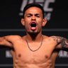 MMA Bullshit's profile picture